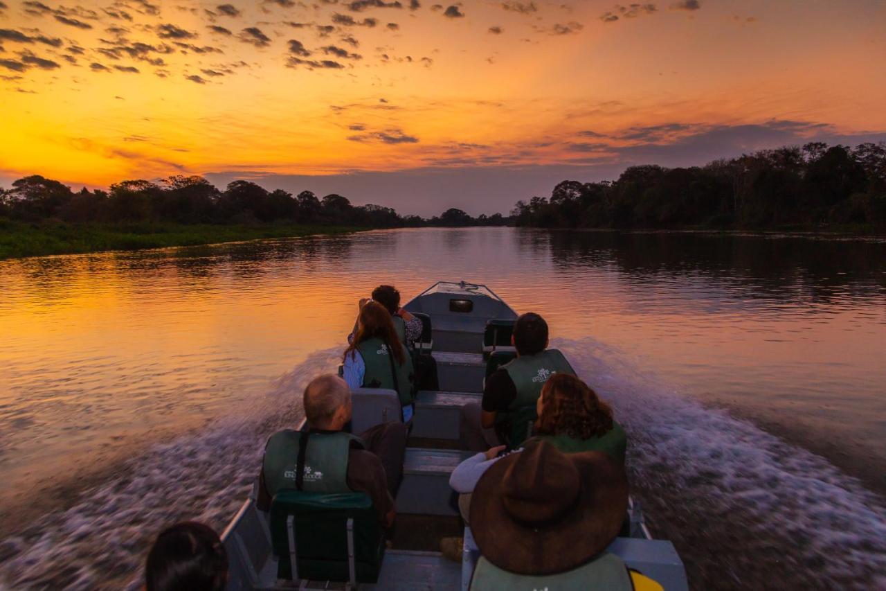 Pantanal Jungle Lodge Passo do Lontra Exterior photo