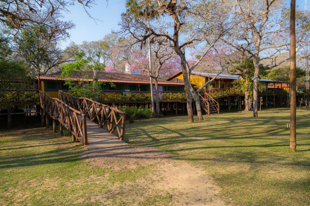 Pantanal Jungle Lodge Passo do Lontra Exterior photo