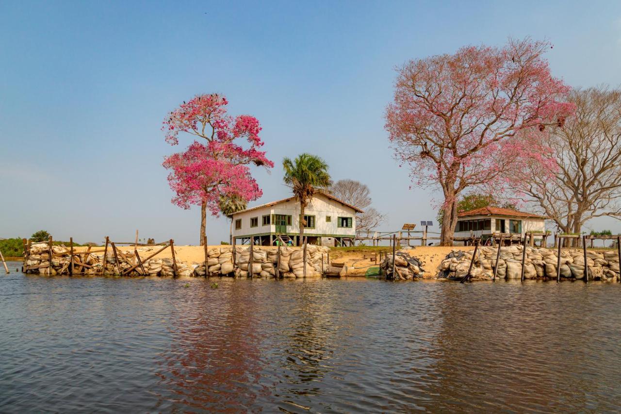 Pantanal Jungle Lodge Passo do Lontra Exterior photo